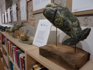 cetaceos - 1