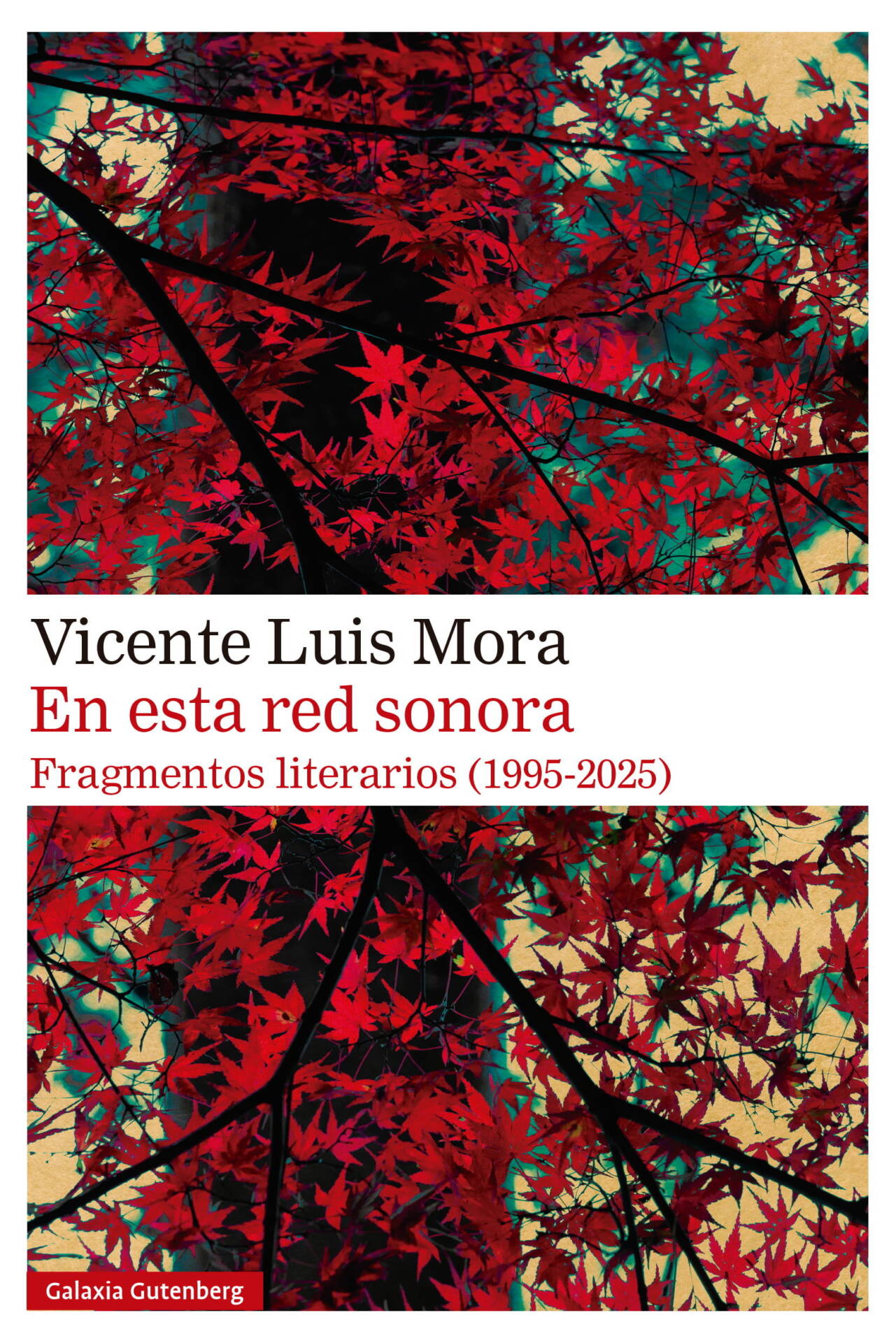 En esta red sonora : Fragmentos literarios (1995-2025)