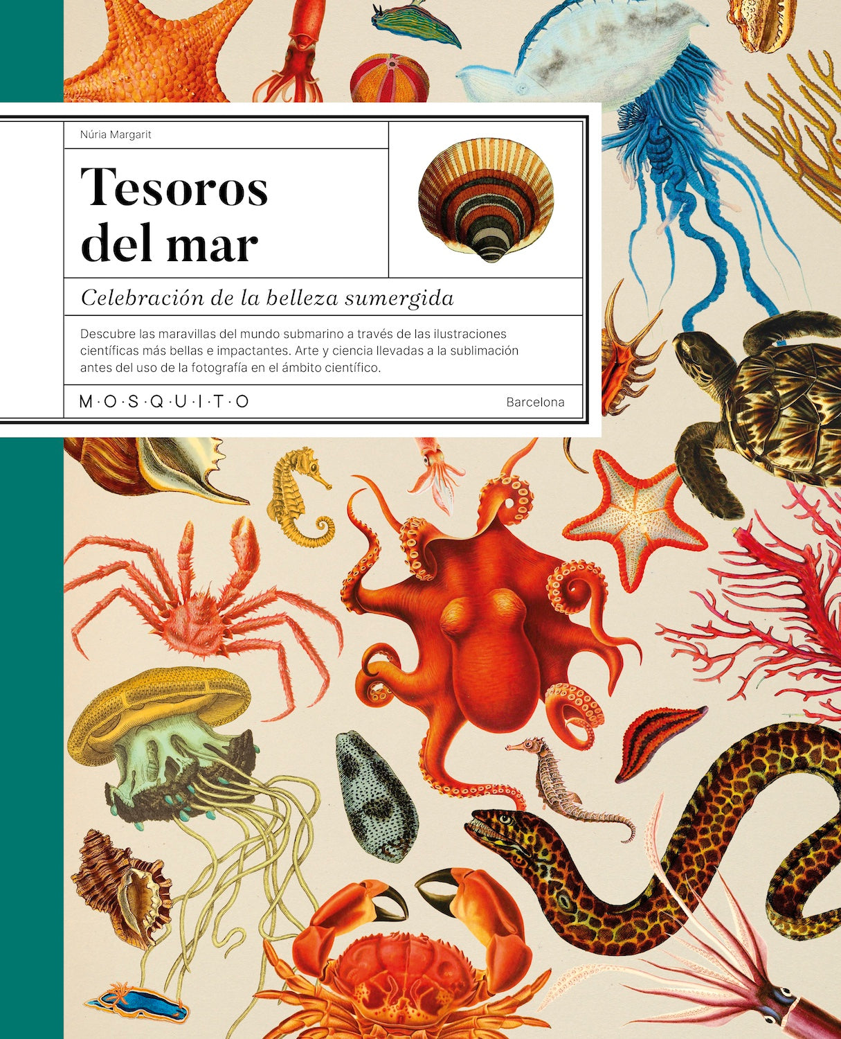 Tesoros del mar : Celebración de la belleza sumergida