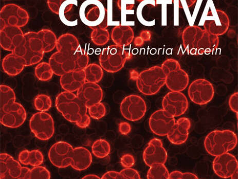 Euforia Colectiva