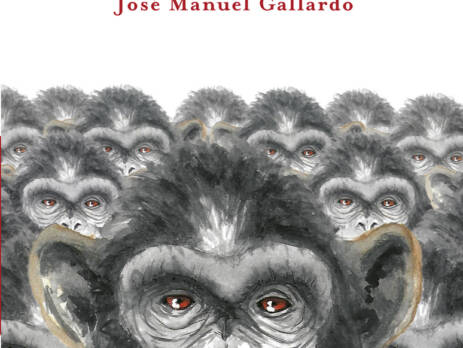 Infinitos monos