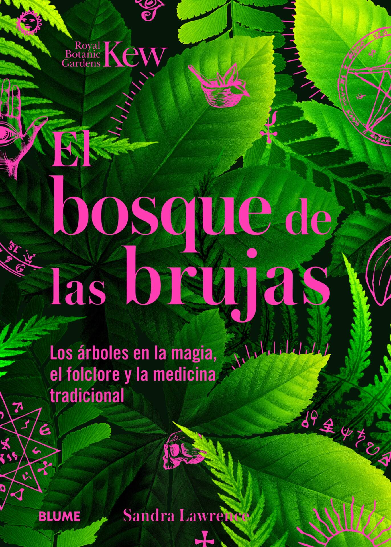 Bosque de las brujas : Los árboles en la magia, el folclore y la medicina tradicional