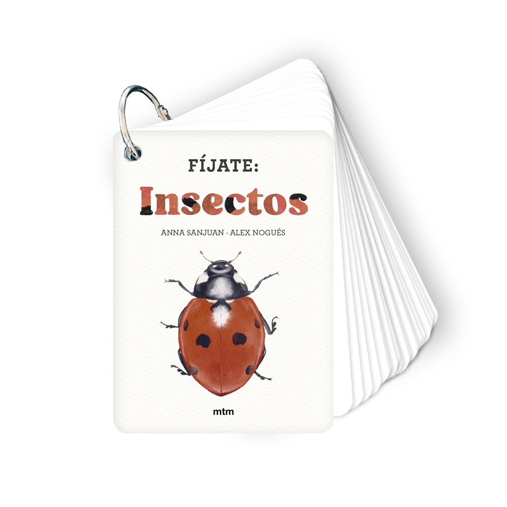Fíjate: insectos : Pequeña guía para iniciarse en la observación de insectos