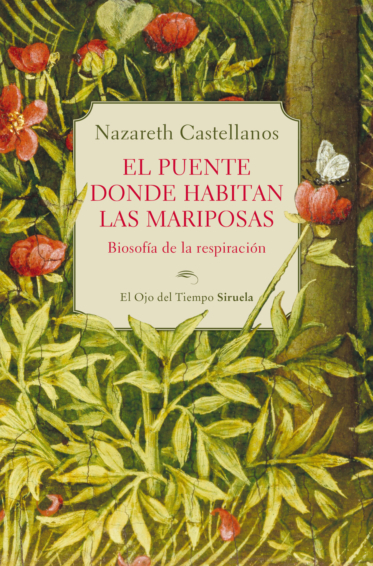 El puente donde habitan las mariposas : Biosofía de la respiración