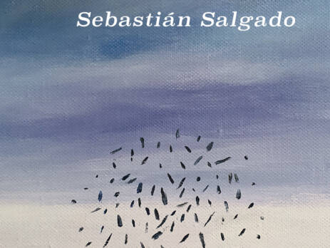 Lo que pesa el mundo : Fragmentos de sistema