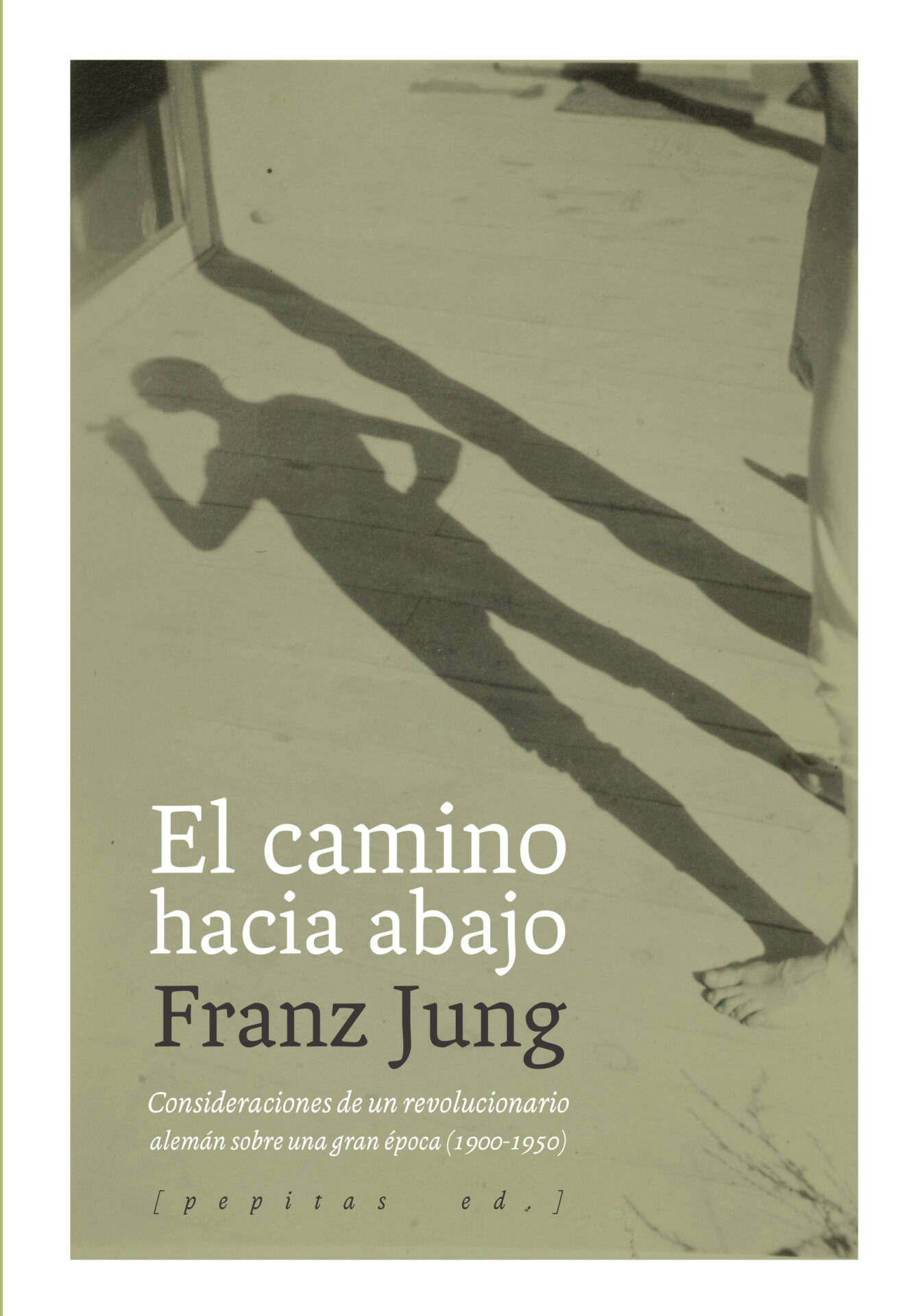 El camino hacia abajo : Consideraciones de un revolucionario alemán sobre una gran época (1900-1950)
