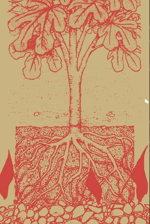 Autonomía y subsistencia : Una teoría ecosocial y materialista de la libertad