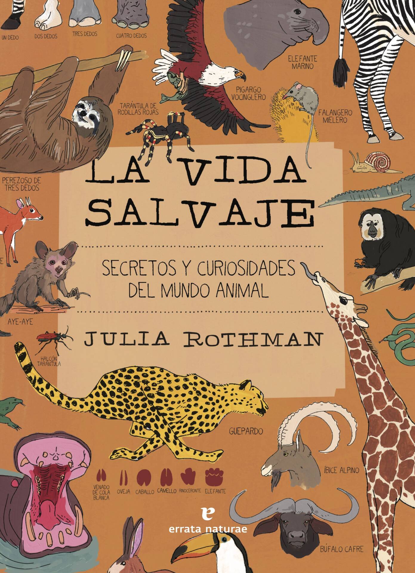 La vida salvaje : Secretos y curiosidades del mundo animal