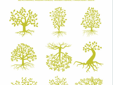 Los cristales translúcidos : Colegio Lupasco, un proyecto singular