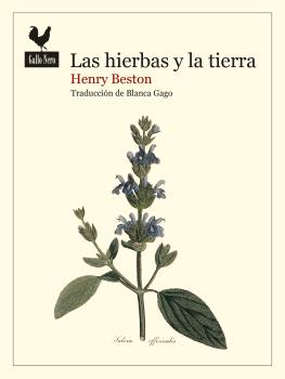 Las hierbas y la tierra