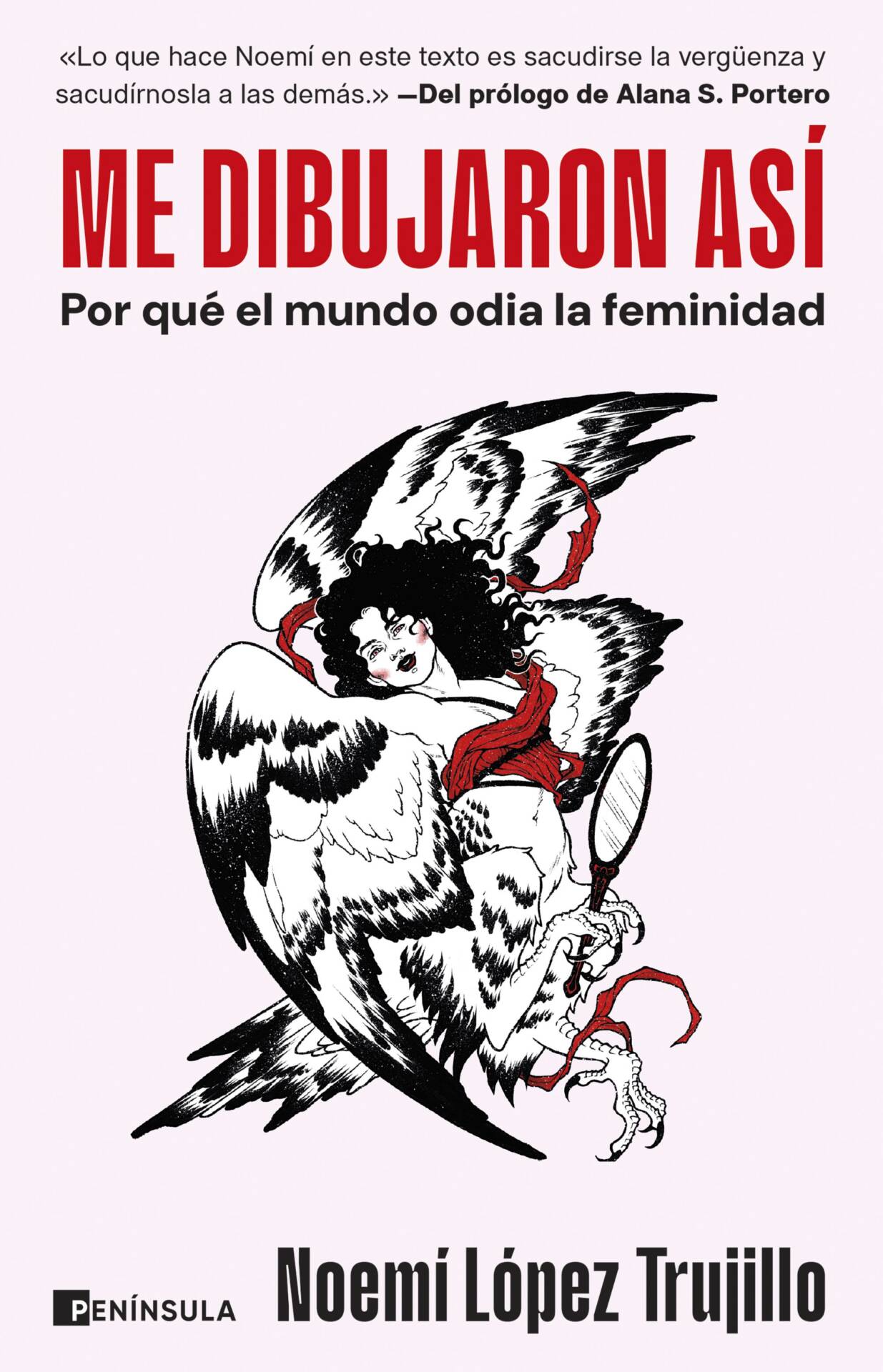 Me dibujaron así : Por qué el mundo odia la feminidad