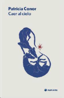 Caer al cielo