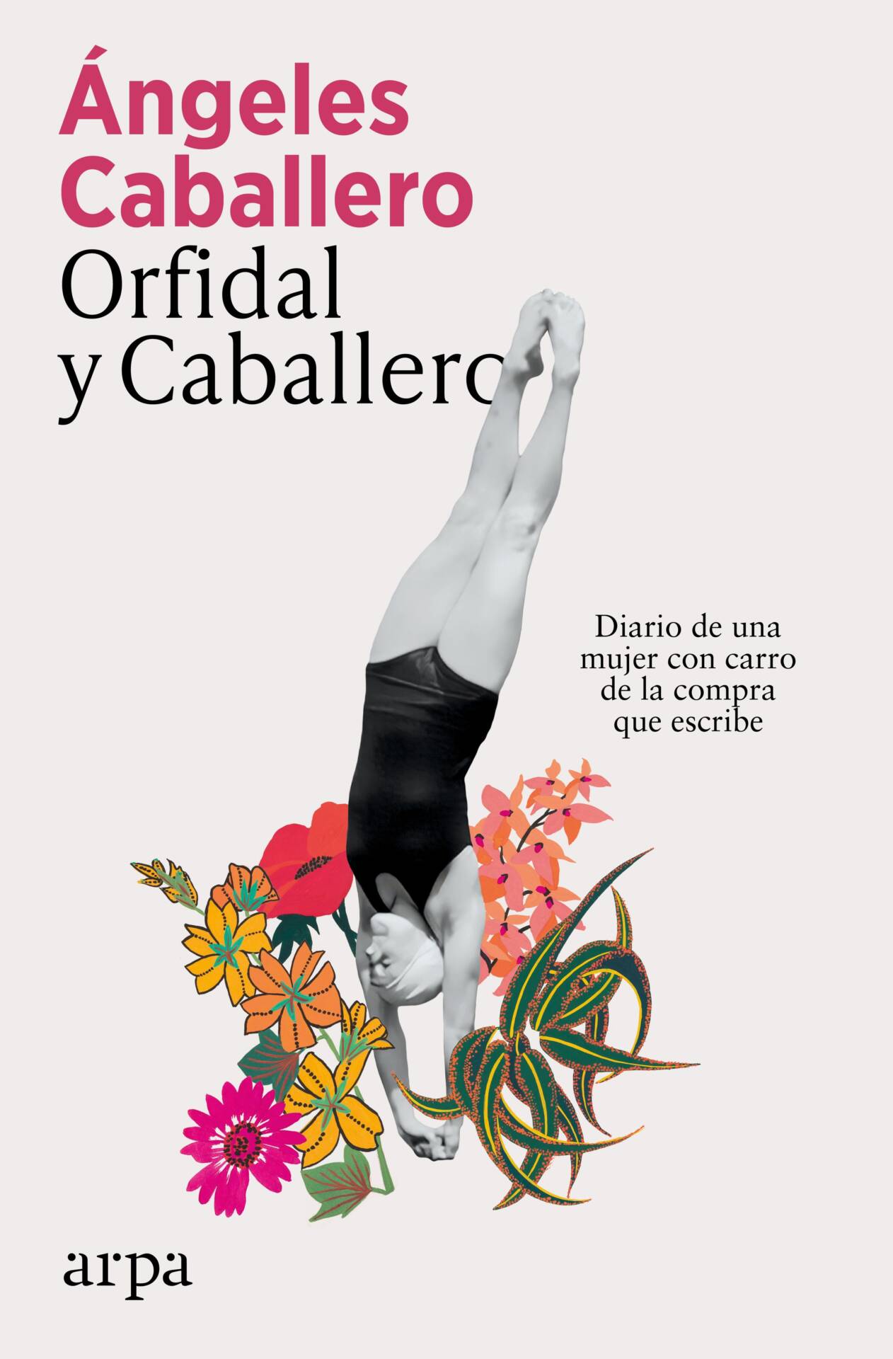 Orfidal y Caballero : Diario de una mujer con carro de la compra que escribe