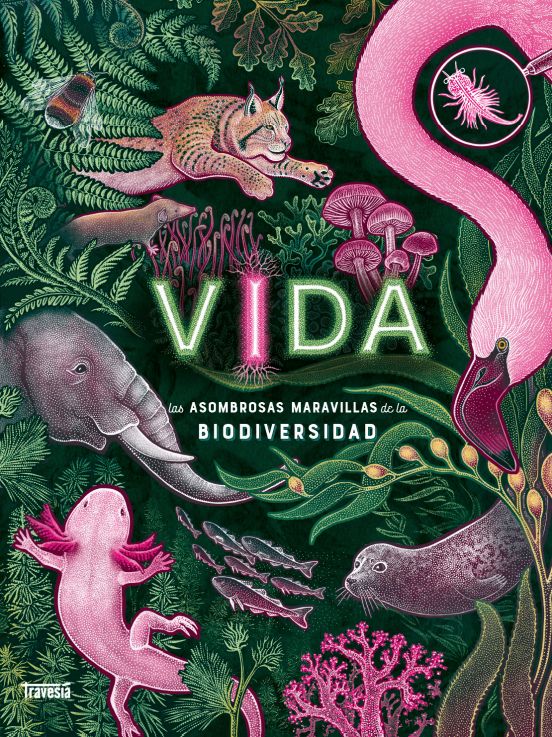 Vida : Las asombrosas maravillas de la bioldiversidad
