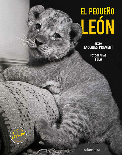 El pequeño león : El pequeño león