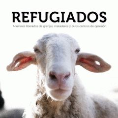 REFUGIADOS
