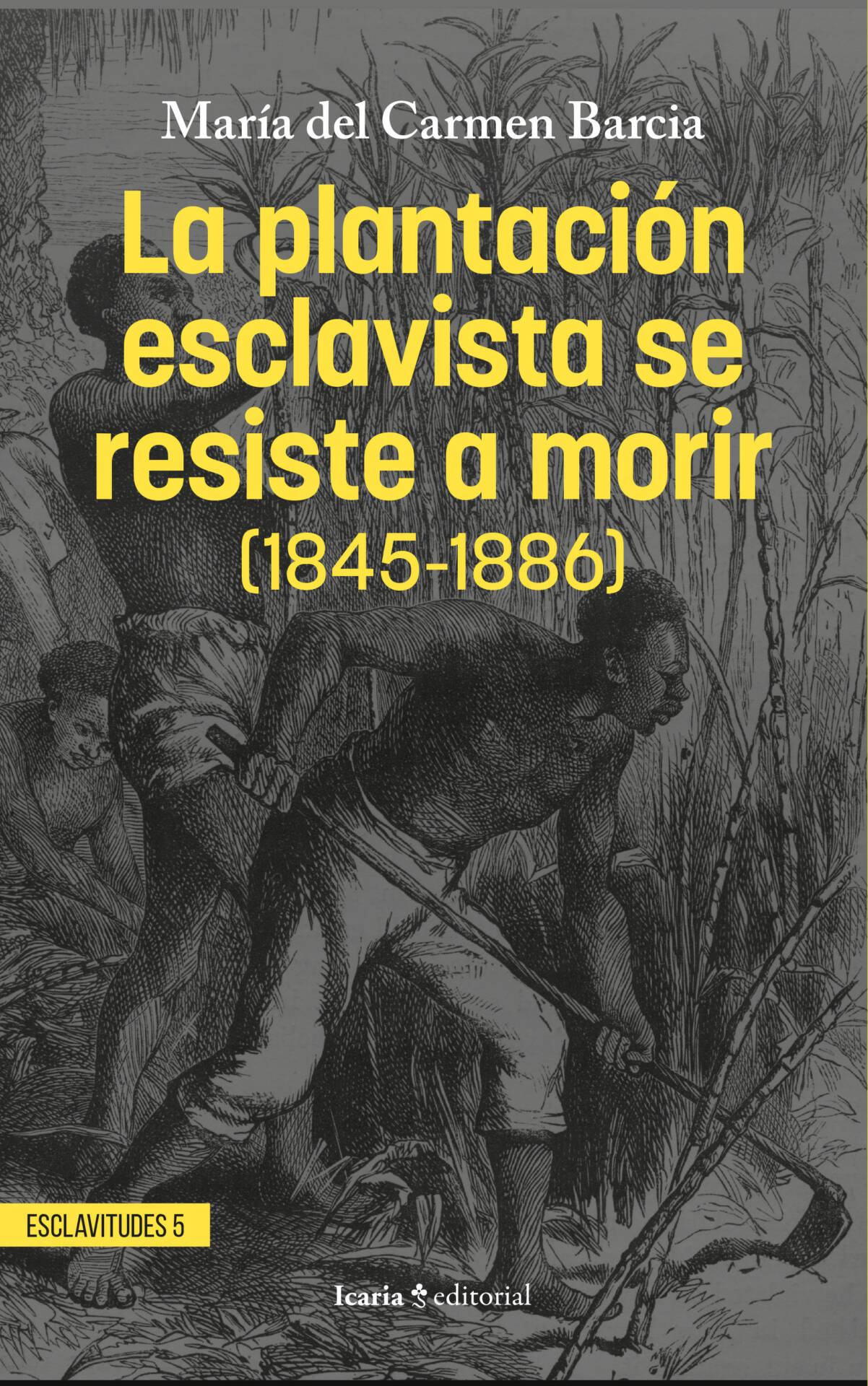 La plantación esclavista se resiste a morir (1845-1886)