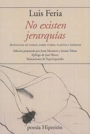 No existen jerarquías