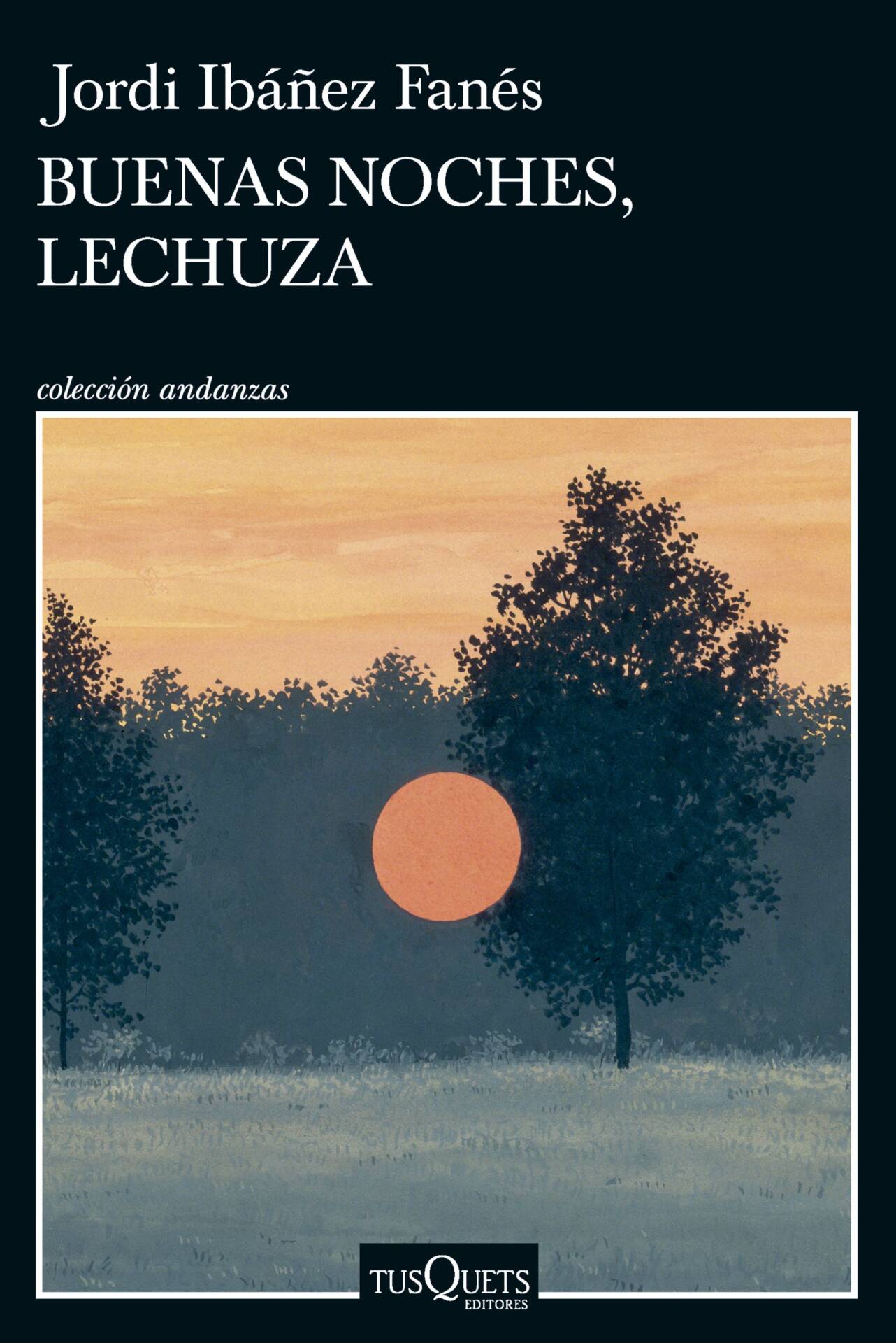 Buenas noches, lechuza