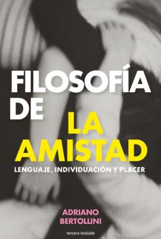 FILOSOFÍA DE LA AMISTAD : Lenguaje, individuación y placer