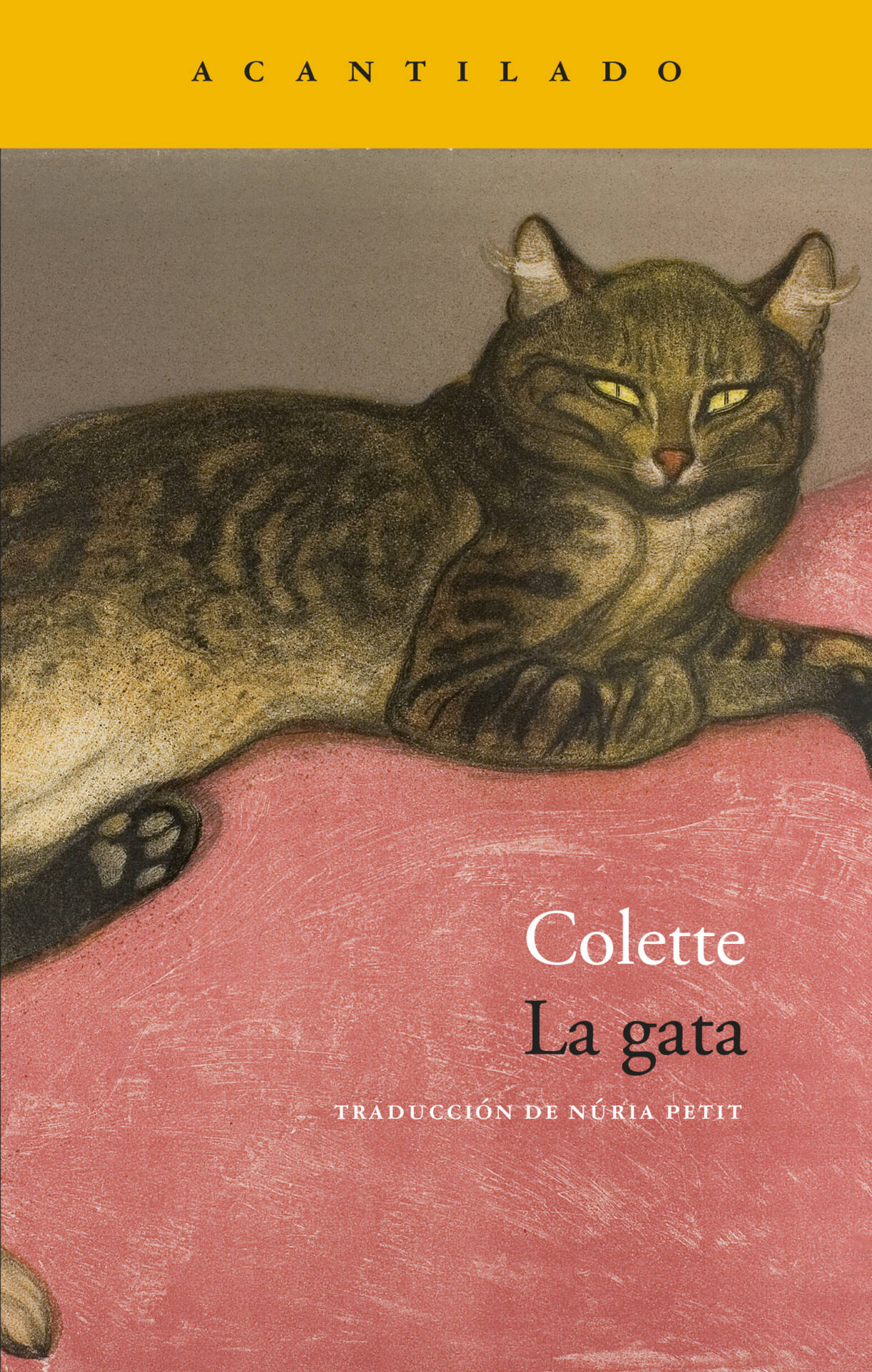 La gata