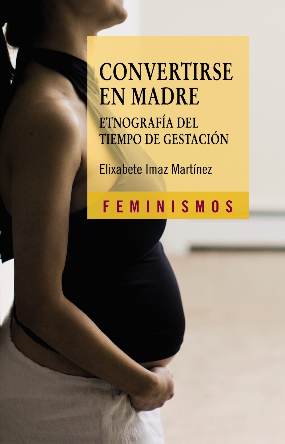 Convertirse en madre : Etnografía del tiempo de gestación