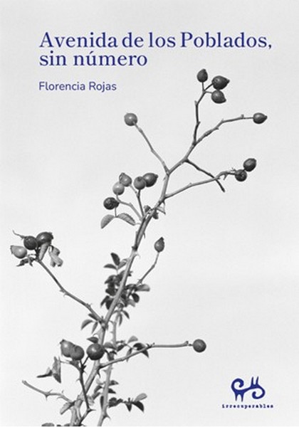 AVENIDA DE LOS POBLADOS SIN NÚMERO