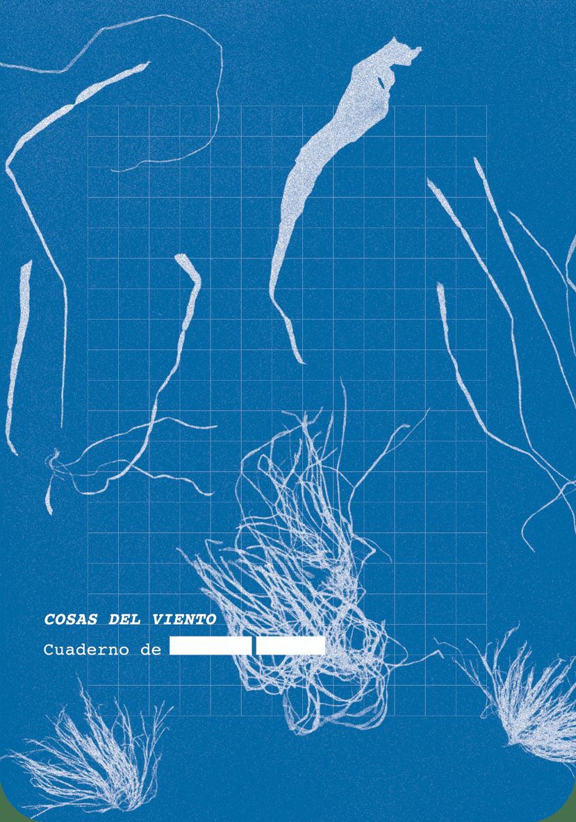 Cosas del viento : CATALOGO A CIEGAS 3