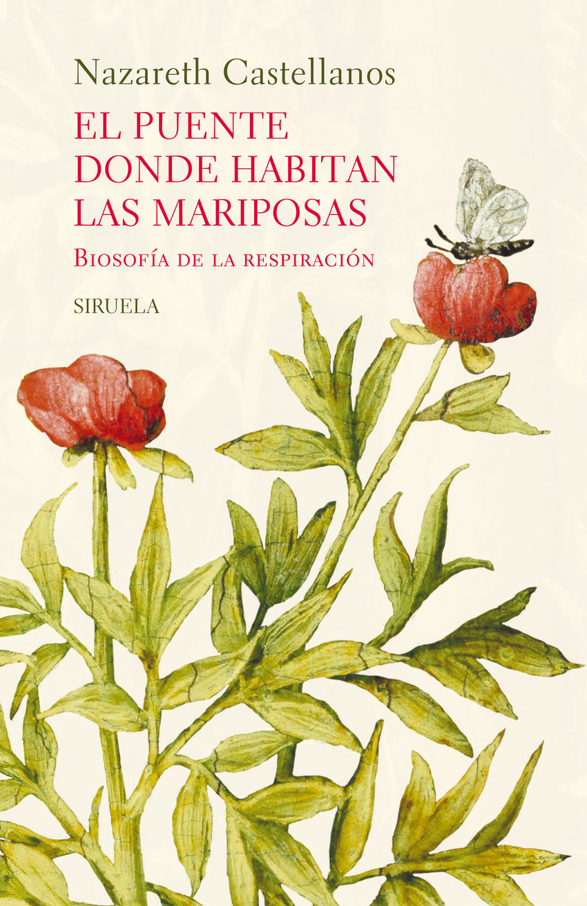 El puente donde habitan las mariposas : Biosofía de la respiración