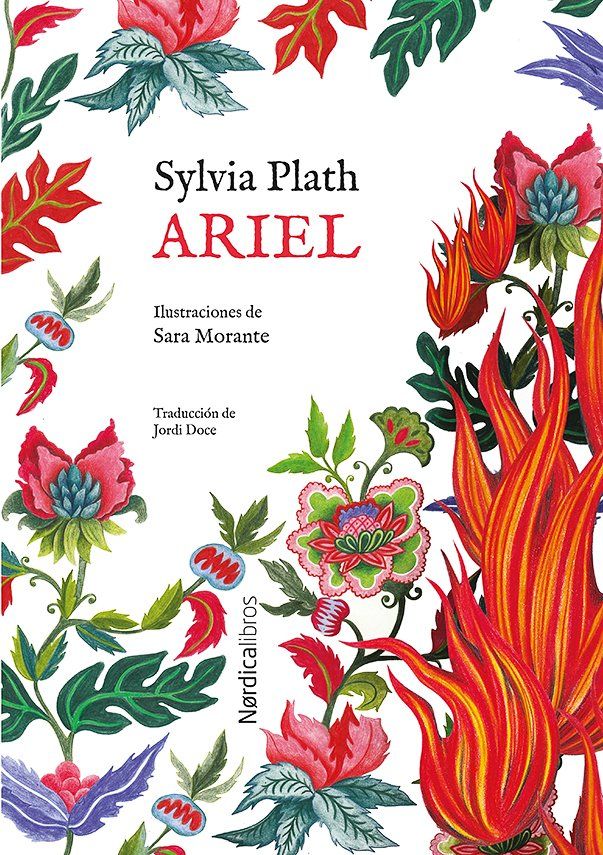 Ed. Especial Ariel : EDICIÓN ESPECIAL ILUSTRADA CON ILUSTRACIÓN DE REGALO