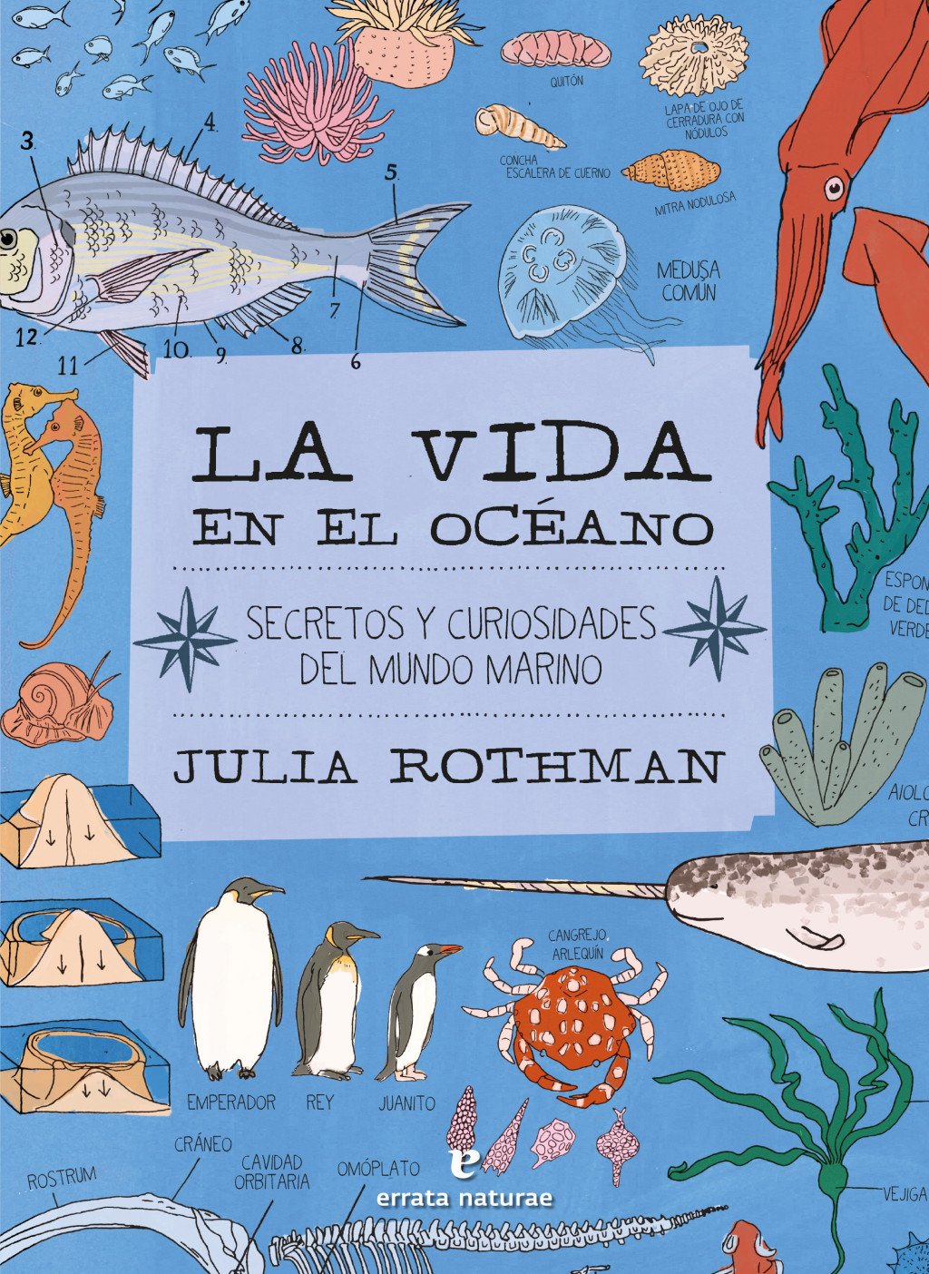 La vida en el océano : Secretos y curiosidades del mundo marino