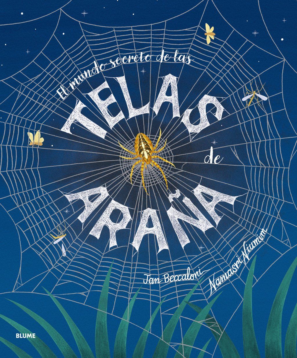 El mundo secreto de las telas de araña : B