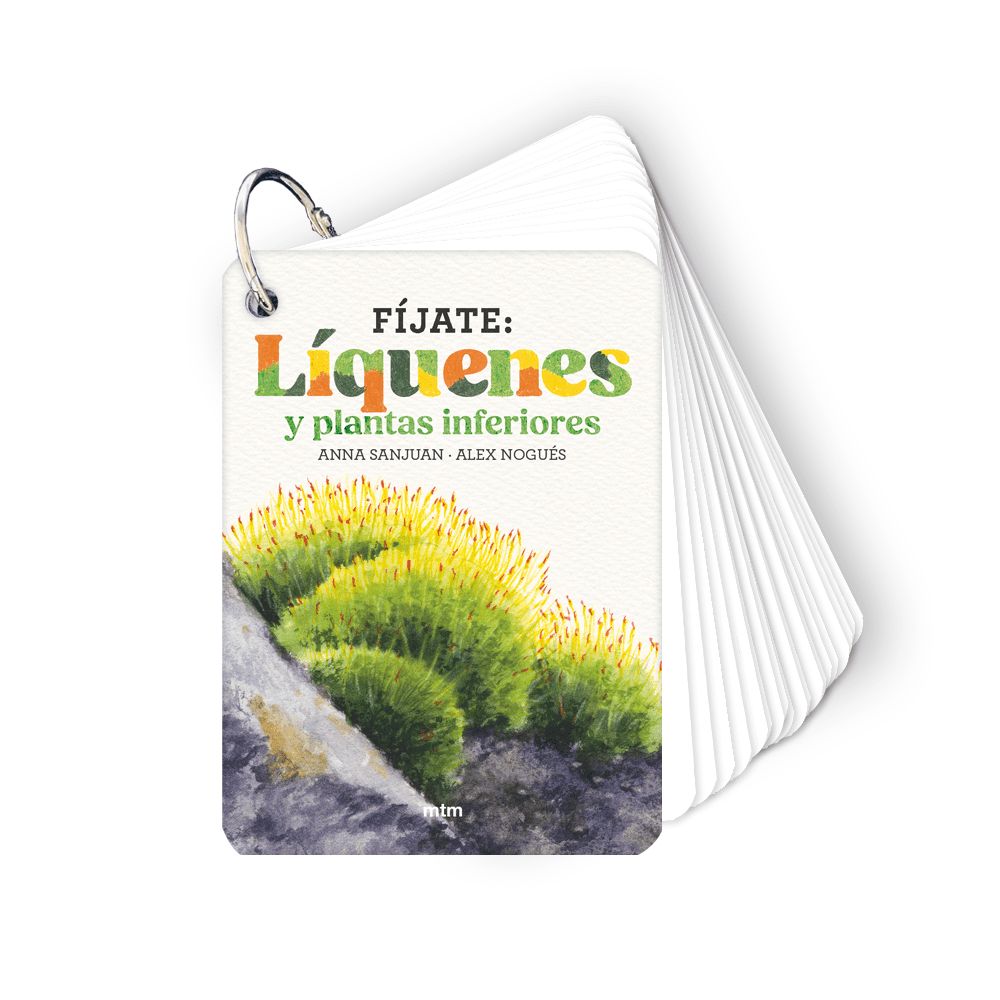 Fíjate: líquenes y plantas inferiores : Pequeña guía para iniciarse en la observación de la naturaleza.