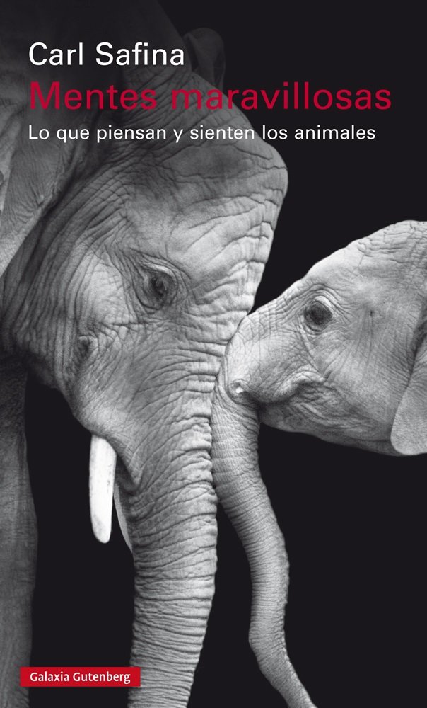 Mentes maravillosas : Lo que piensan y sienten los animales