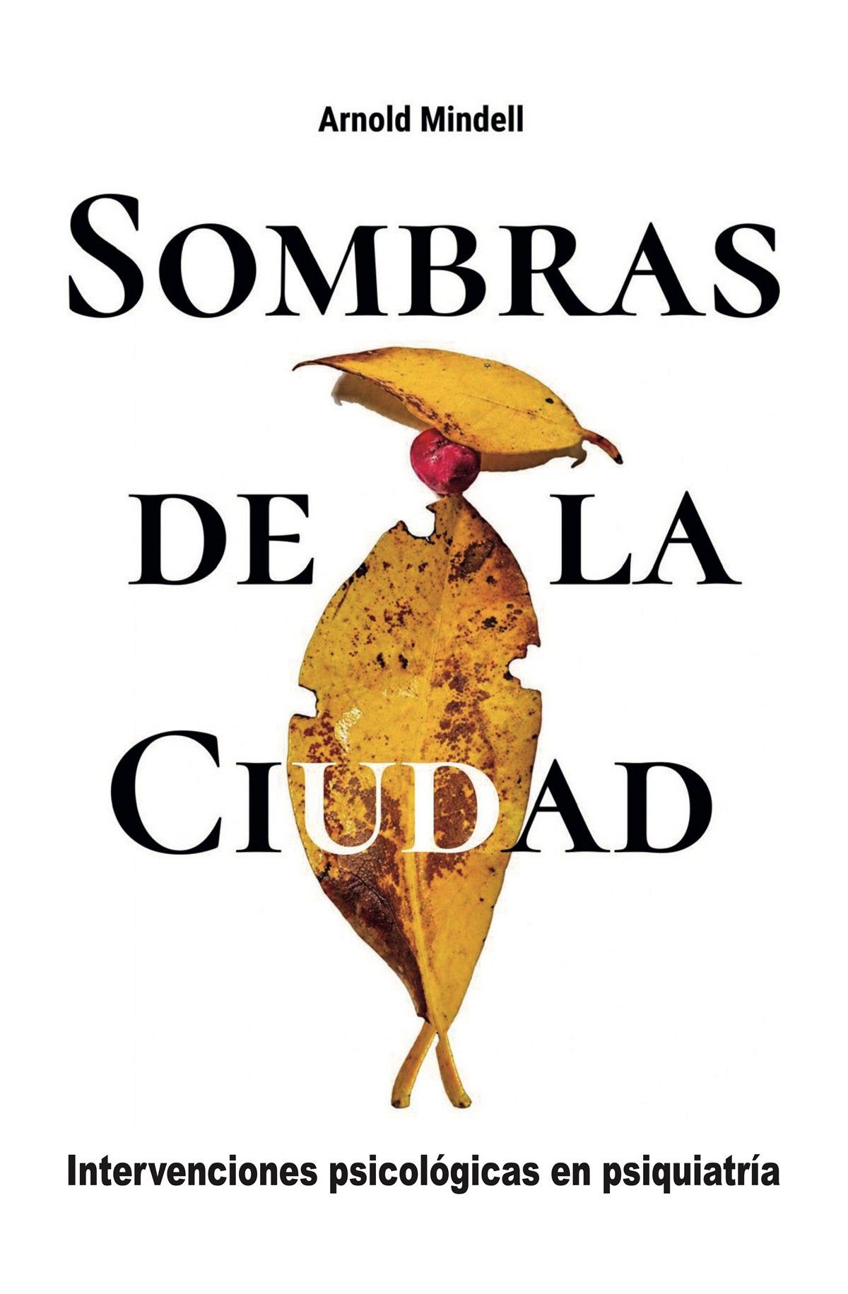 SOMBRAS DE LA CIUDAD