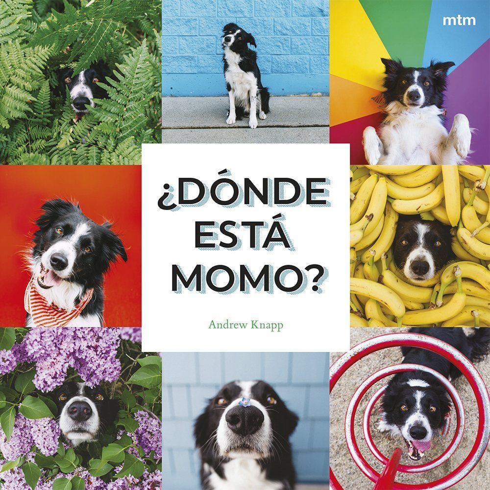 ¿Dónde está Momo? : ¡Momo se esconde en este libro!