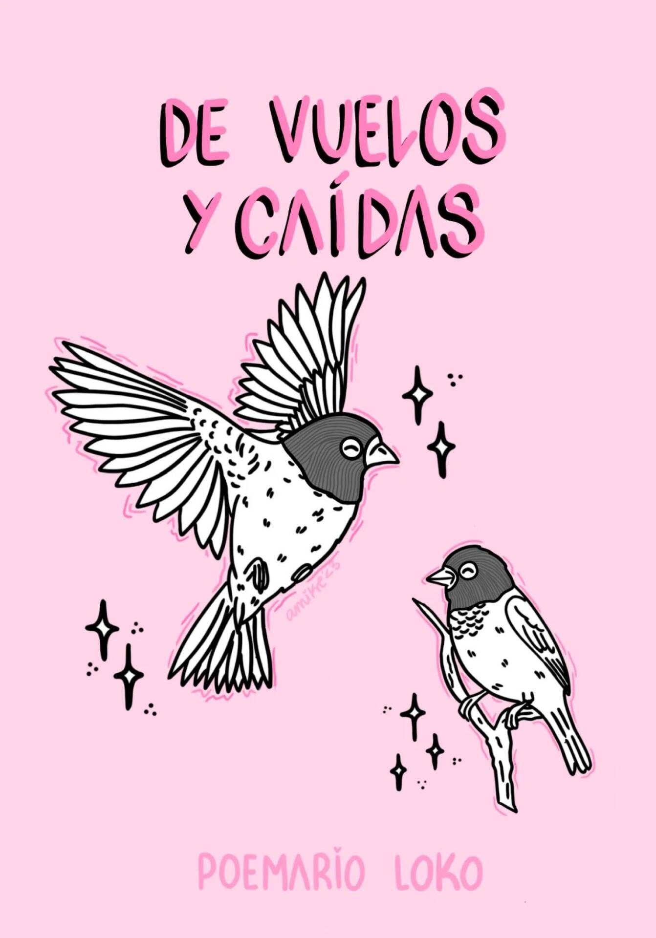 DE VUELOS Y CAÍDAS : Poemario loko