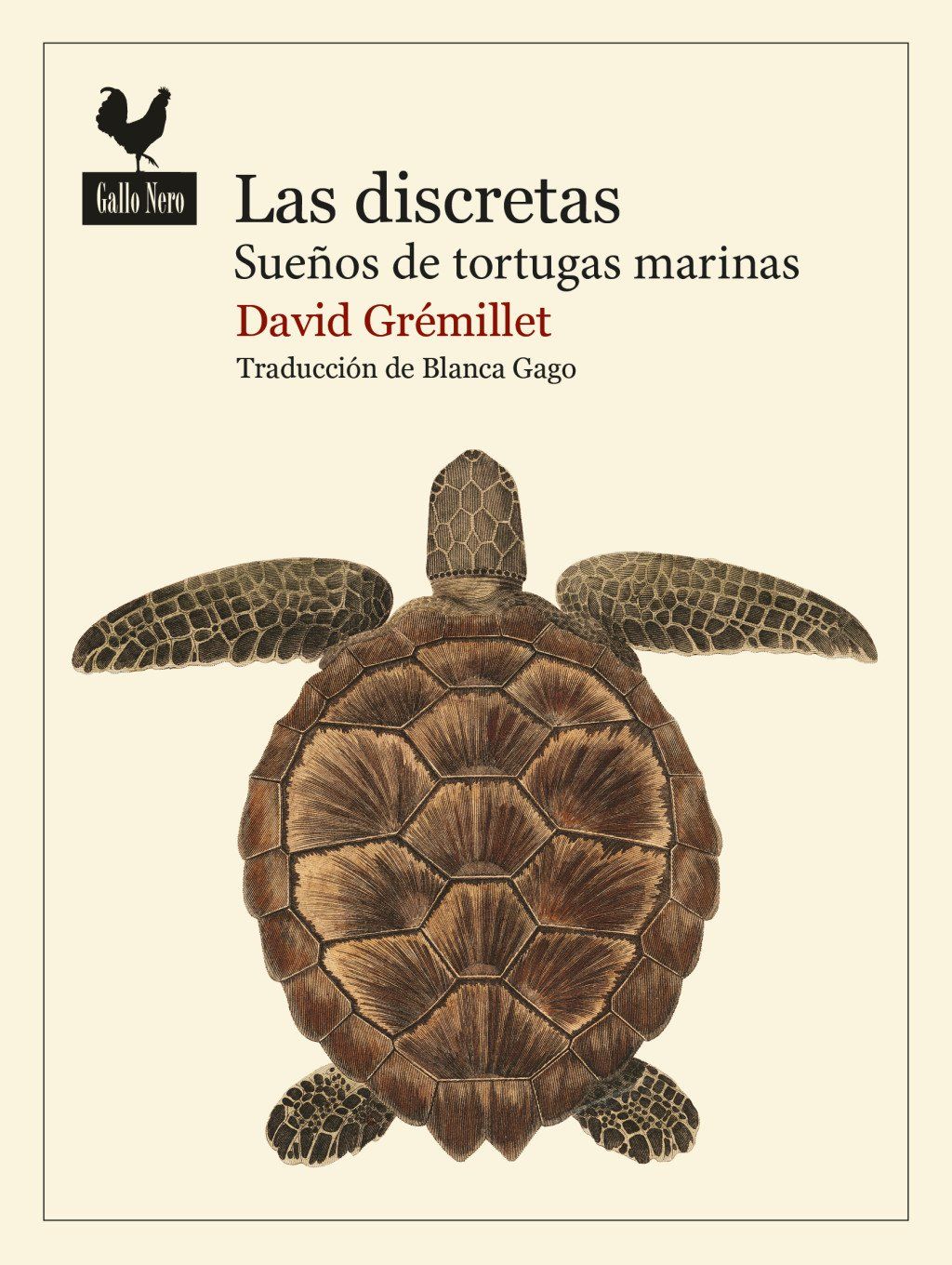 Las discretas : Sueños de tortugas marinas