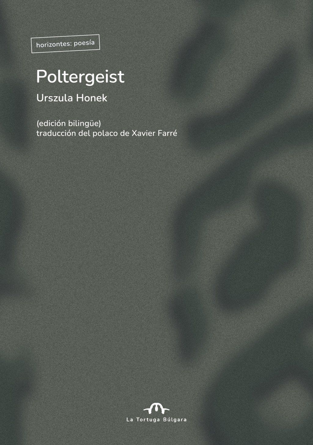Poltergeist : edición bilingüe polaco-español